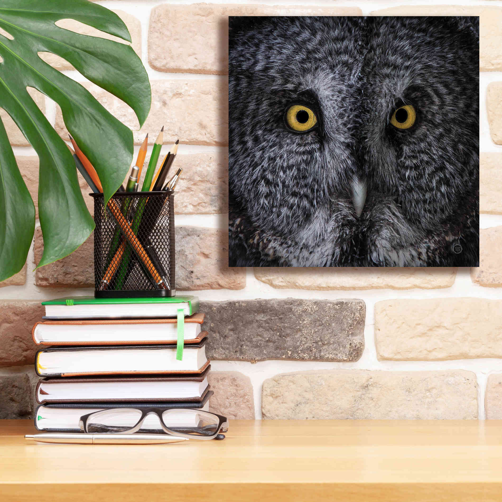 'Great Grey Owl' by Nathan Larson, Canvas Wall Art,12 x 12