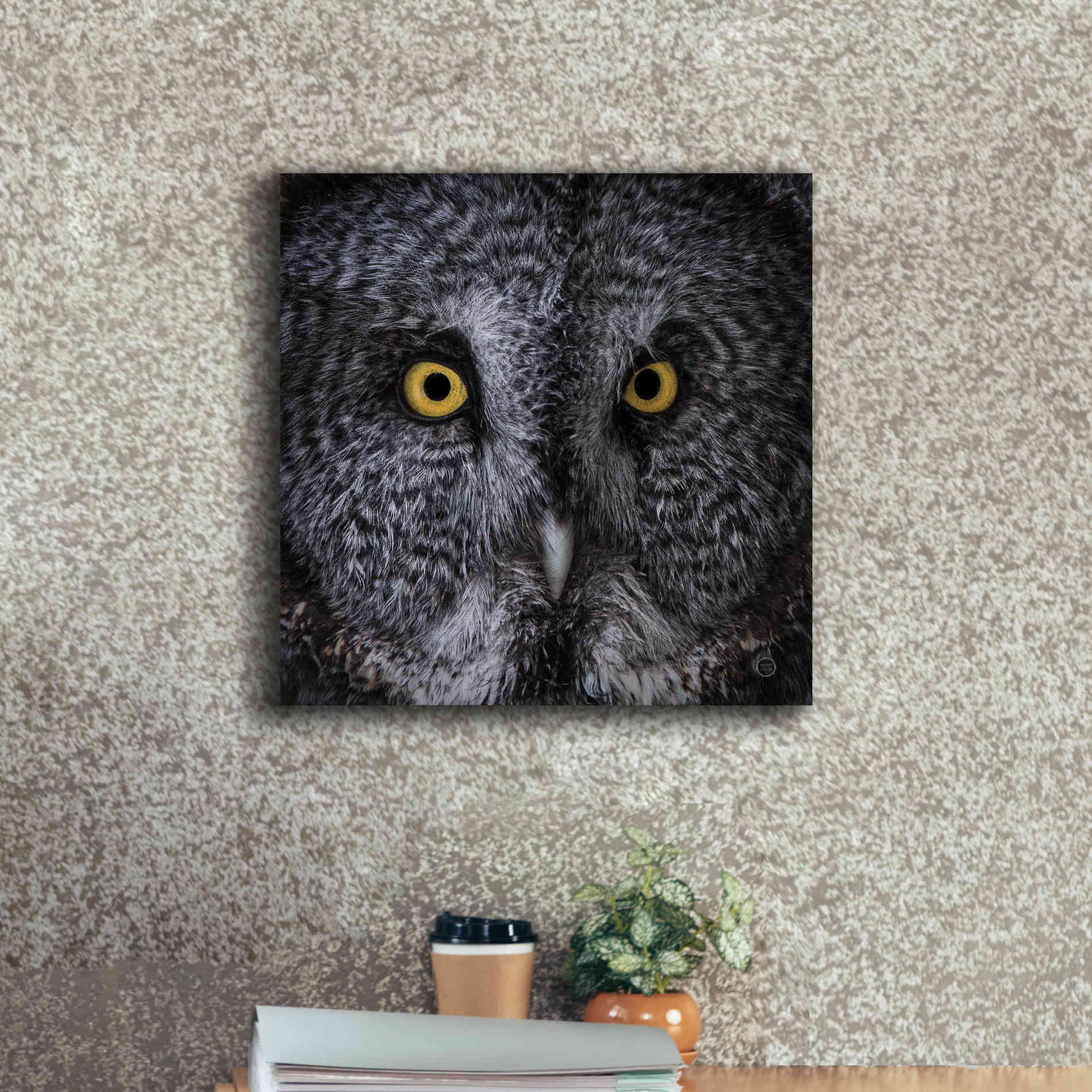 'Great Grey Owl' by Nathan Larson, Canvas Wall Art,18 x 18