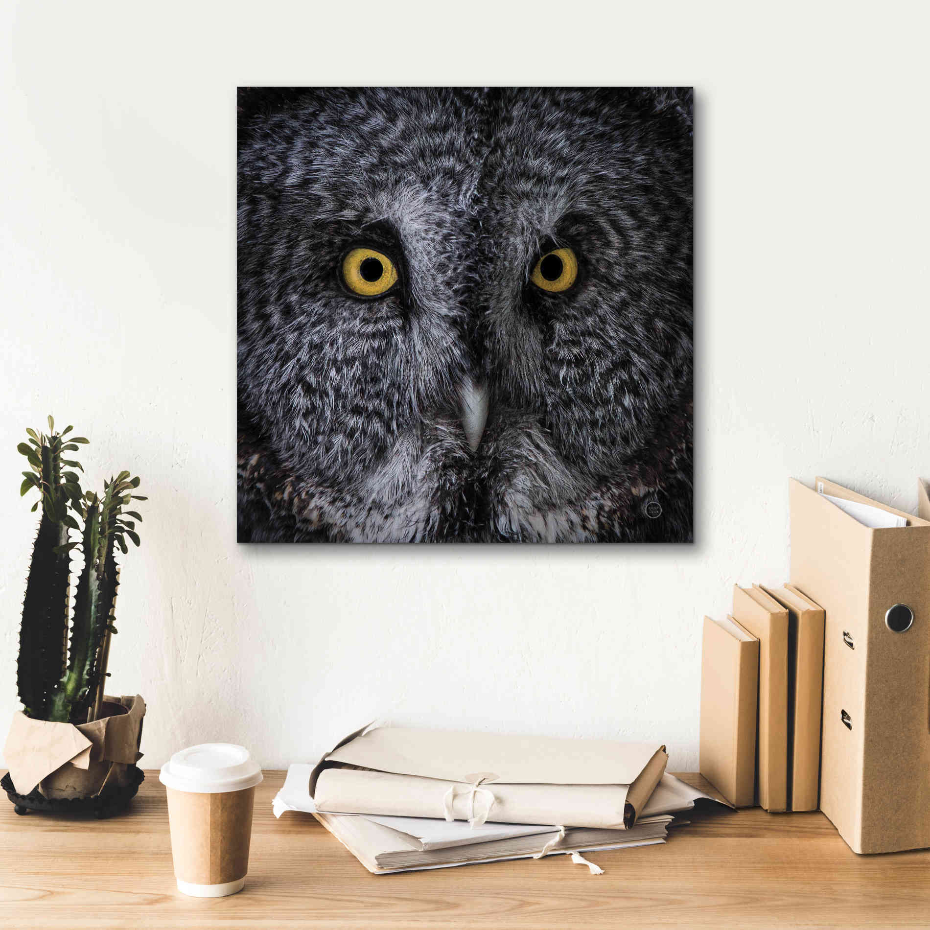 'Great Grey Owl' by Nathan Larson, Canvas Wall Art,18 x 18