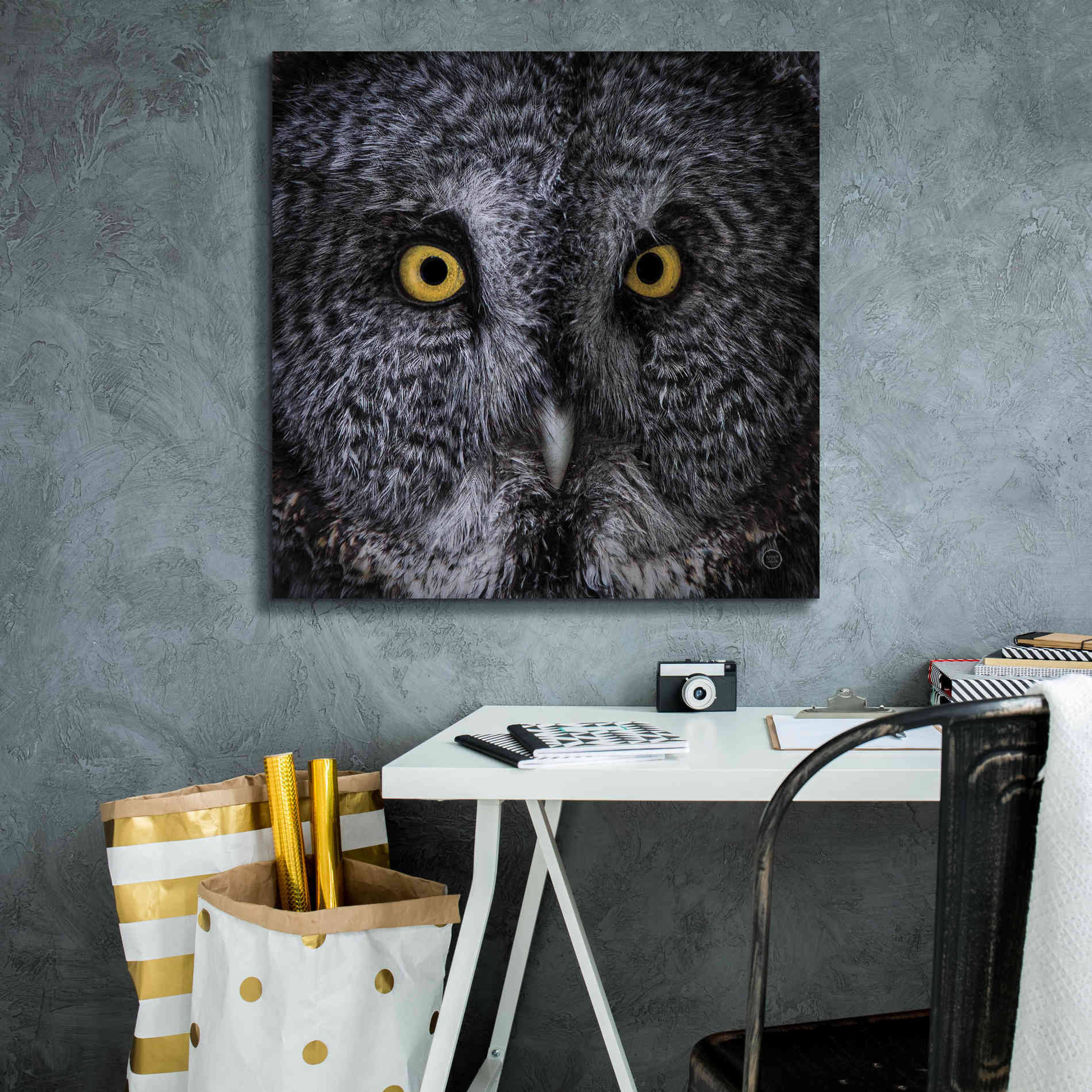 'Great Grey Owl' by Nathan Larson, Canvas Wall Art,26 x 26