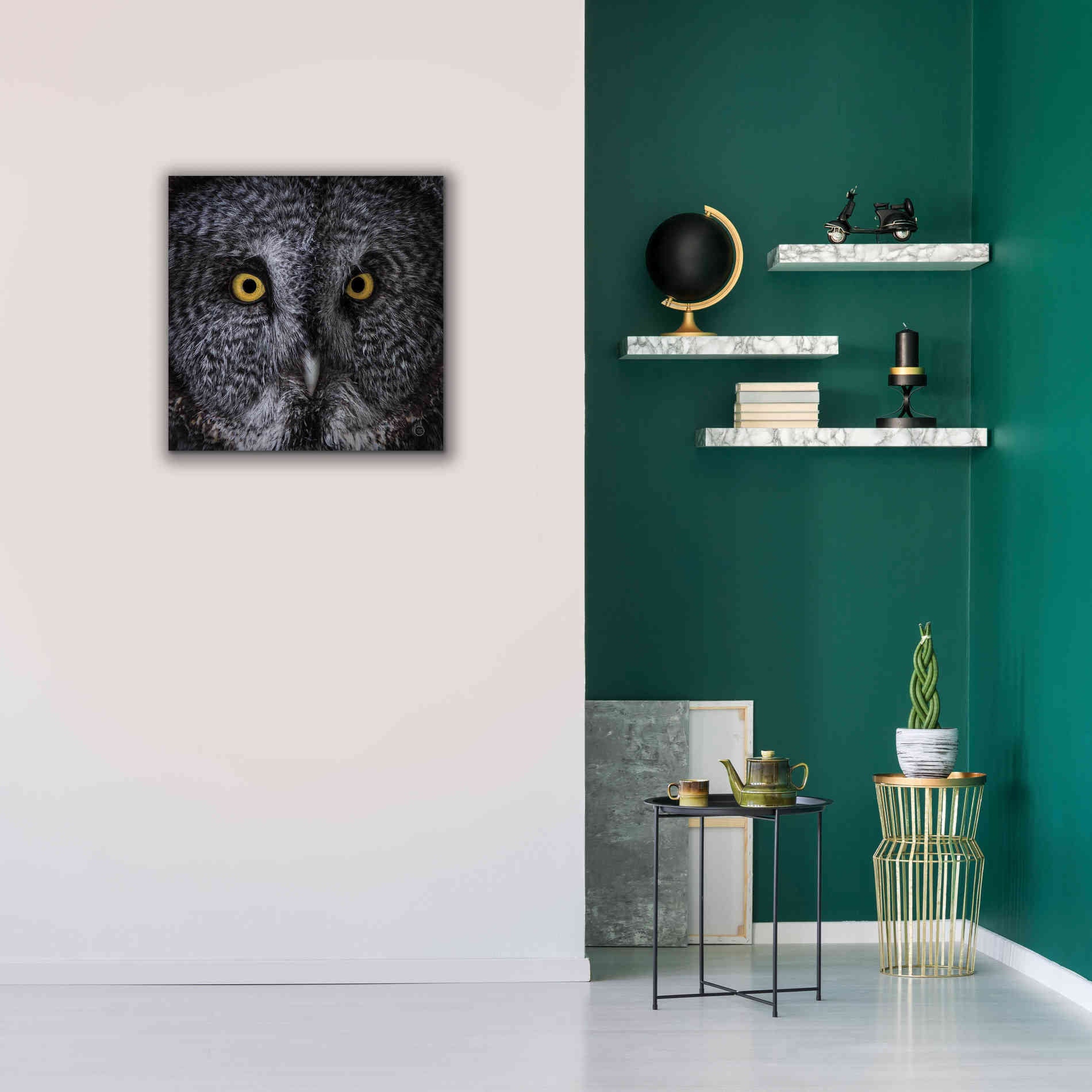 'Great Grey Owl' by Nathan Larson, Canvas Wall Art,26 x 26