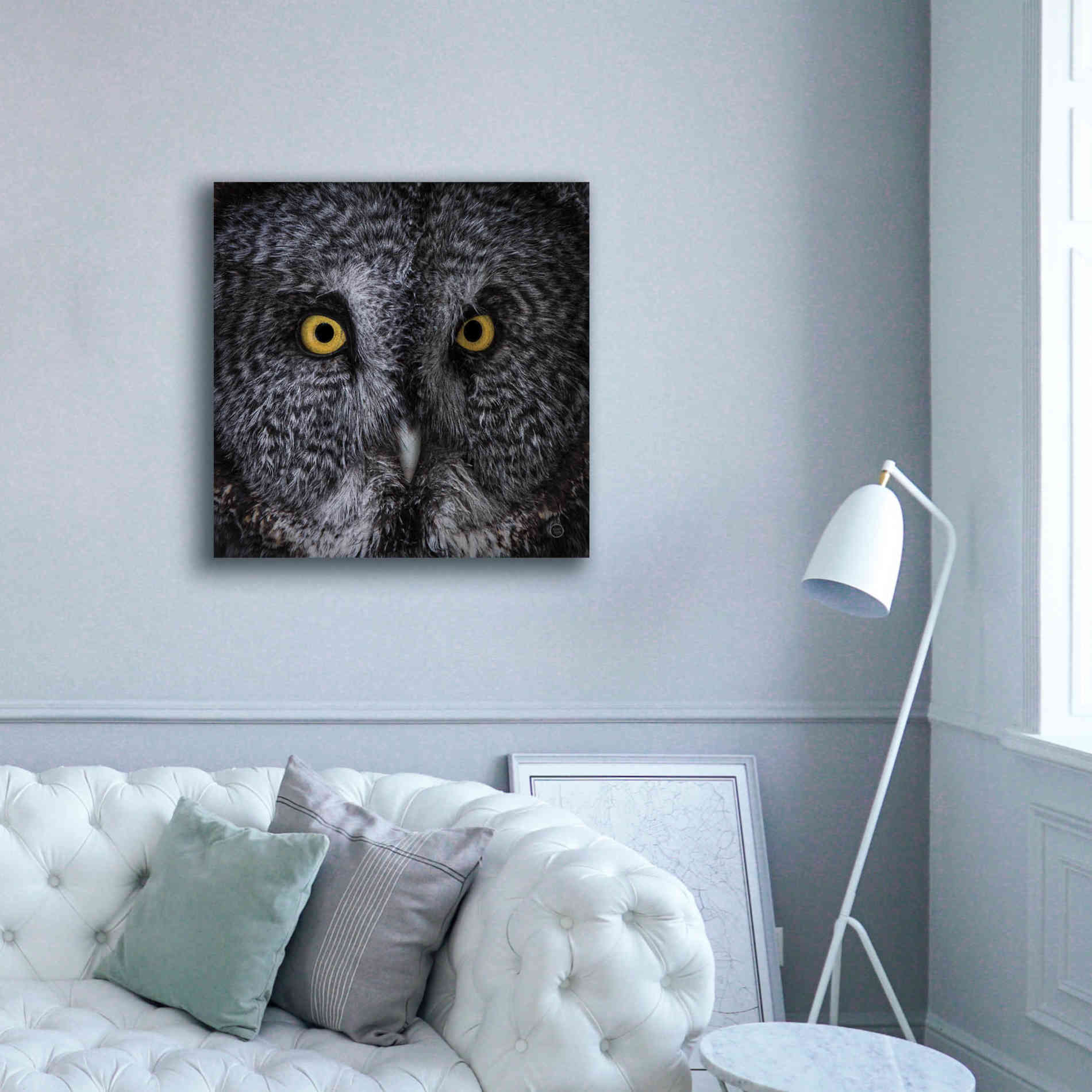 'Great Grey Owl' by Nathan Larson, Canvas Wall Art,37 x 37