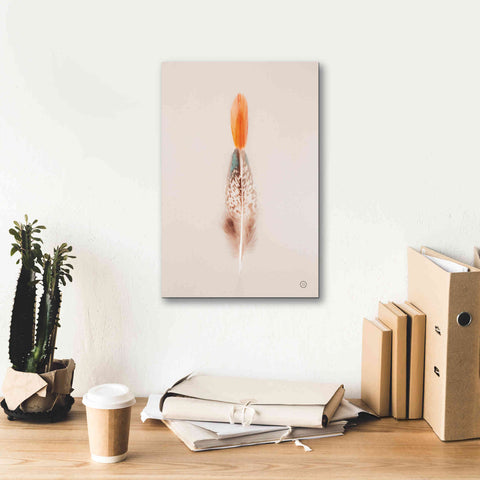 Image of 'Floating Feathers I' by Nathan Larson, Canvas Wall Art,12 x 18