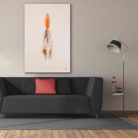 Image of 'Floating Feathers I' by Nathan Larson, Canvas Wall Art,40 x 60