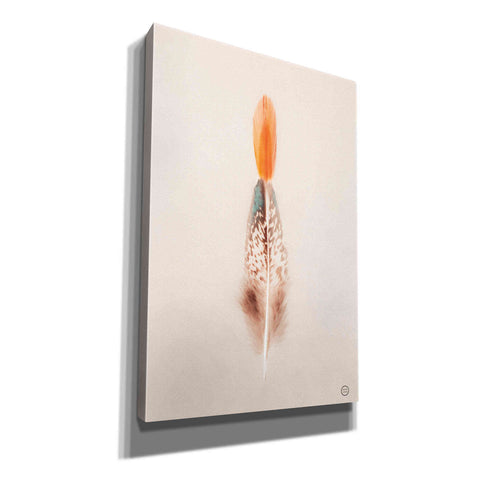 Image of 'Floating Feathers I' by Nathan Larson, Canvas Wall Art