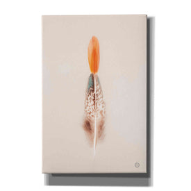 'Floating Feathers I' by Nathan Larson, Canvas Wall Art