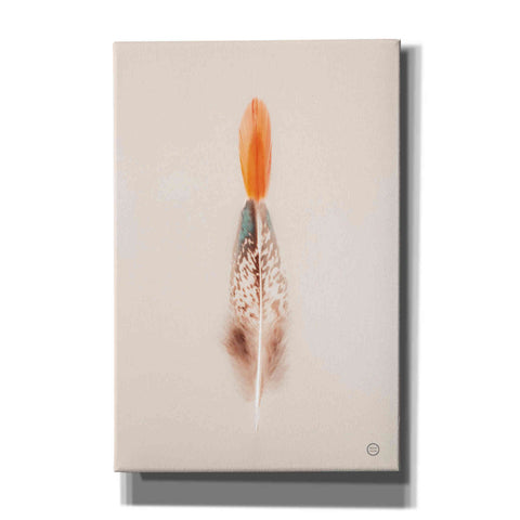 Image of 'Floating Feathers I' by Nathan Larson, Canvas Wall Art