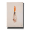 'Floating Feathers I' by Nathan Larson, Canvas Wall Art