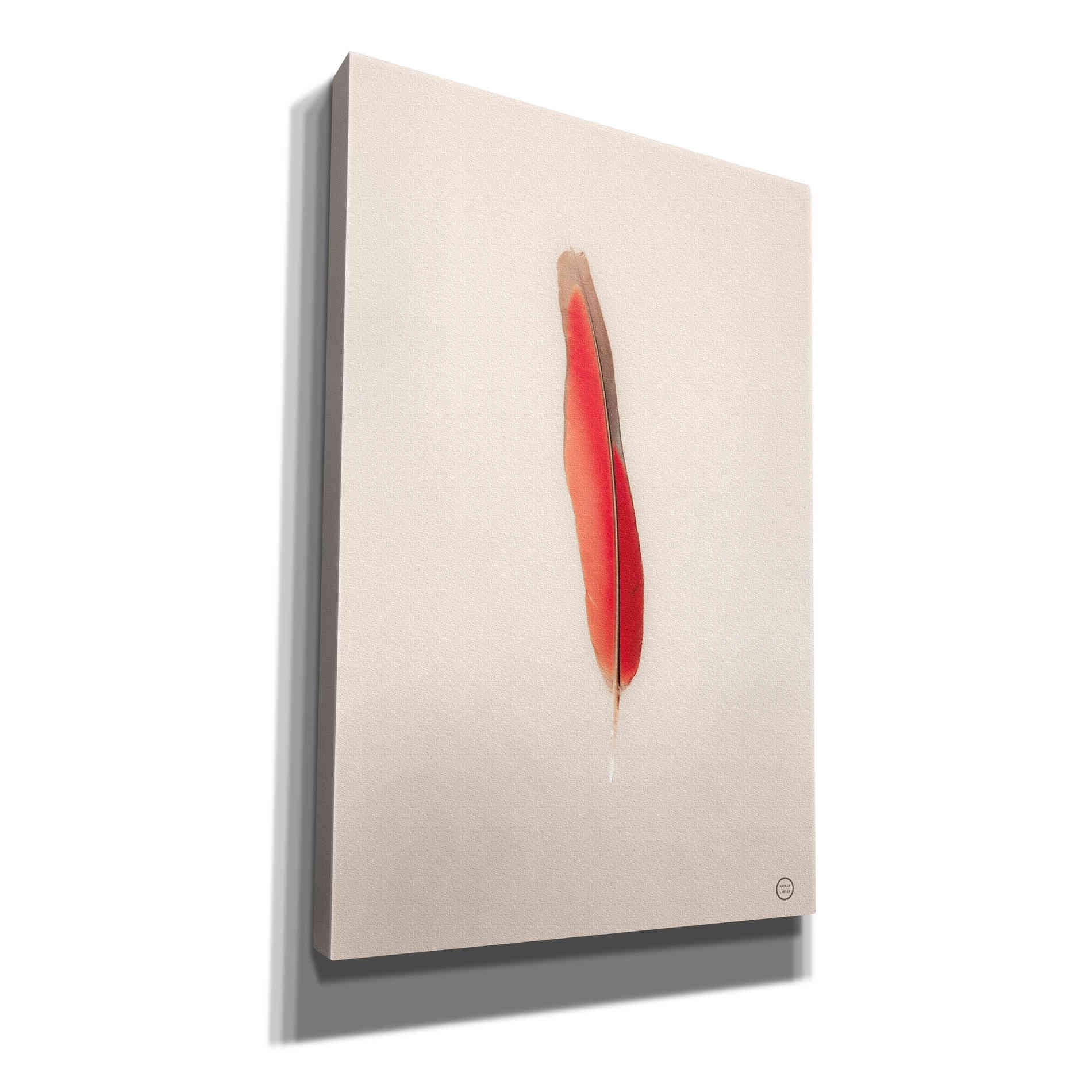 'Floating Feathers II' by Nathan Larson, Canvas Wall Art