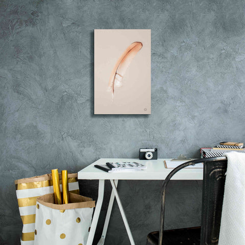 Image of 'Floating Feathers III' by Nathan Larson, Canvas Wall Art,12 x 18