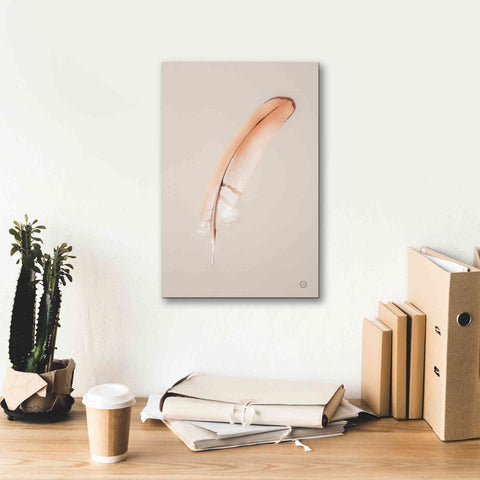 Image of 'Floating Feathers III' by Nathan Larson, Canvas Wall Art,12 x 18