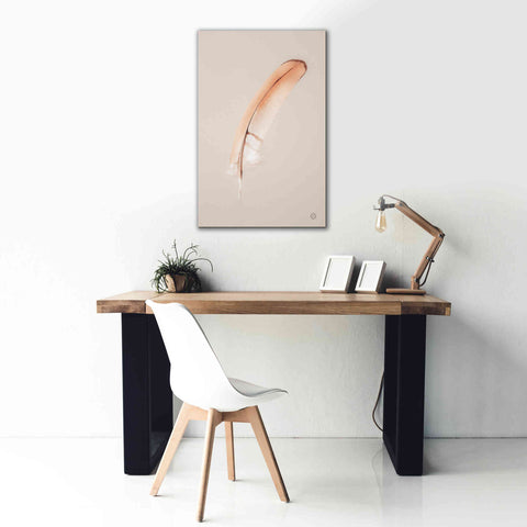 Image of 'Floating Feathers III' by Nathan Larson, Canvas Wall Art,26 x 40