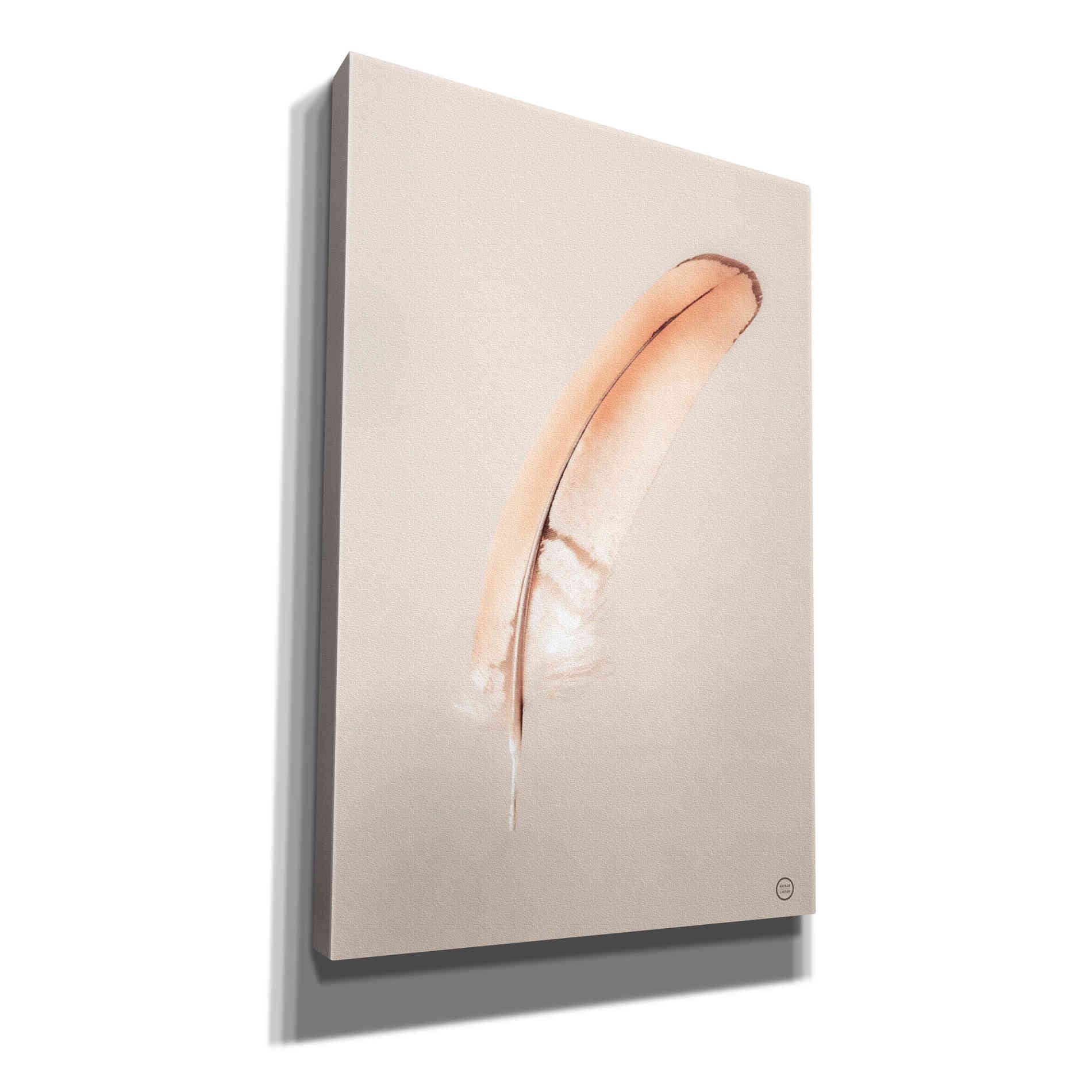 'Floating Feathers III' by Nathan Larson, Canvas Wall Art