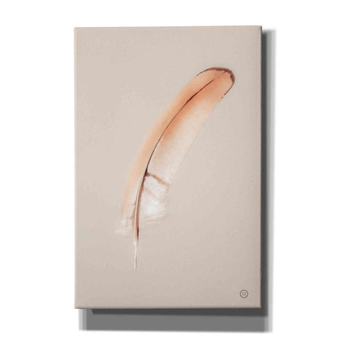 Image of 'Floating Feathers III' by Nathan Larson, Canvas Wall Art