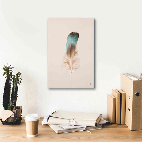 Image of 'Floating Feathers IV' by Nathan Larson, Canvas Wall Art,12 x 18