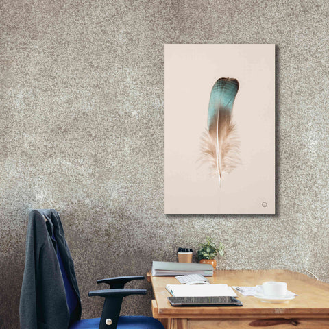 Image of 'Floating Feathers IV' by Nathan Larson, Canvas Wall Art,26 x 40