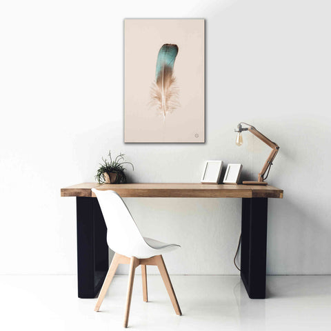 Image of 'Floating Feathers IV' by Nathan Larson, Canvas Wall Art,26 x 40