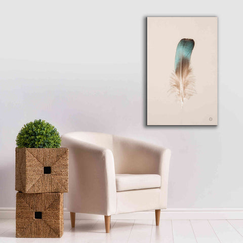 Image of 'Floating Feathers IV' by Nathan Larson, Canvas Wall Art,26 x 40