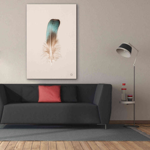 Image of 'Floating Feathers IV' by Nathan Larson, Canvas Wall Art,40 x 60