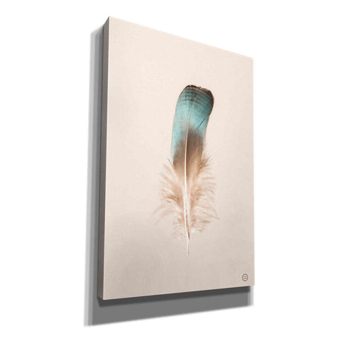 Image of 'Floating Feathers IV' by Nathan Larson, Canvas Wall Art