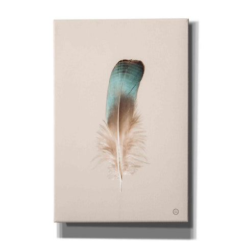 Image of 'Floating Feathers IV' by Nathan Larson, Canvas Wall Art