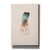 'Floating Feathers IV' by Nathan Larson, Canvas Wall Art