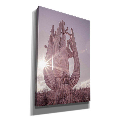 Image of 'Dusty Desert Saguaro' by Nathan Larson, Canvas Wall Art