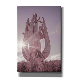'Dusty Desert Saguaro' by Nathan Larson, Canvas Wall Art