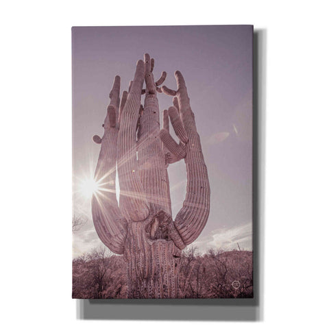 Image of 'Dusty Desert Saguaro' by Nathan Larson, Canvas Wall Art