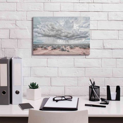Image of 'New Mexico Rain' by Nathan Larson, Canvas Wall Art,18 x 12