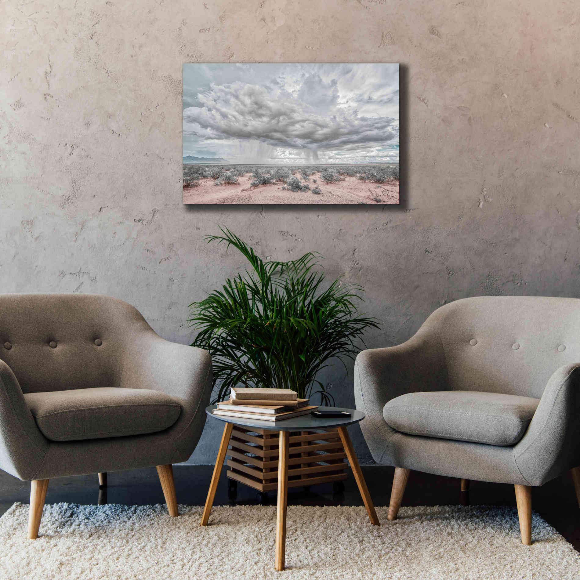 'New Mexico Rain' by Nathan Larson, Canvas Wall Art,40 x 26
