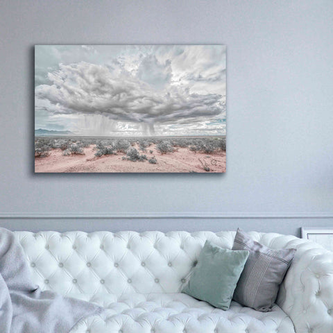 Image of 'New Mexico Rain' by Nathan Larson, Canvas Wall Art,60 x 40