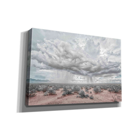 Image of 'New Mexico Rain' by Nathan Larson, Canvas Wall Art