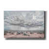 'New Mexico Rain' by Nathan Larson, Canvas Wall Art