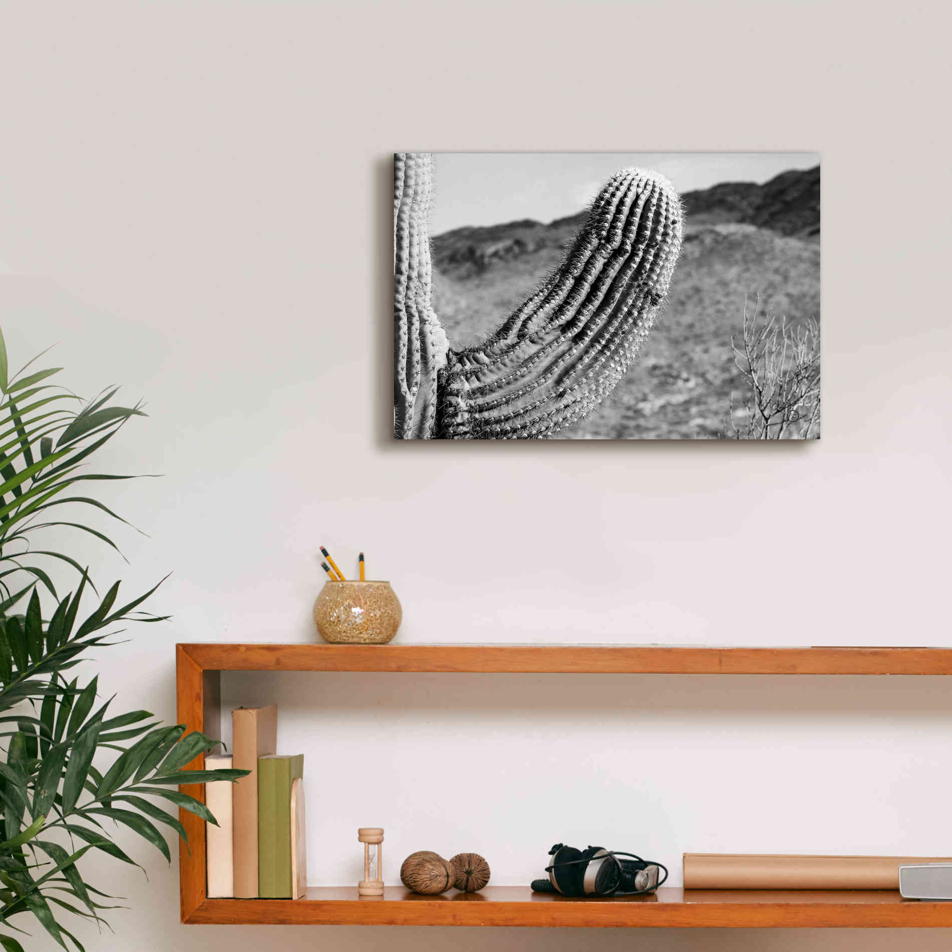 'Saguaro' by Nathan Larson, Canvas Wall Art,18 x 12