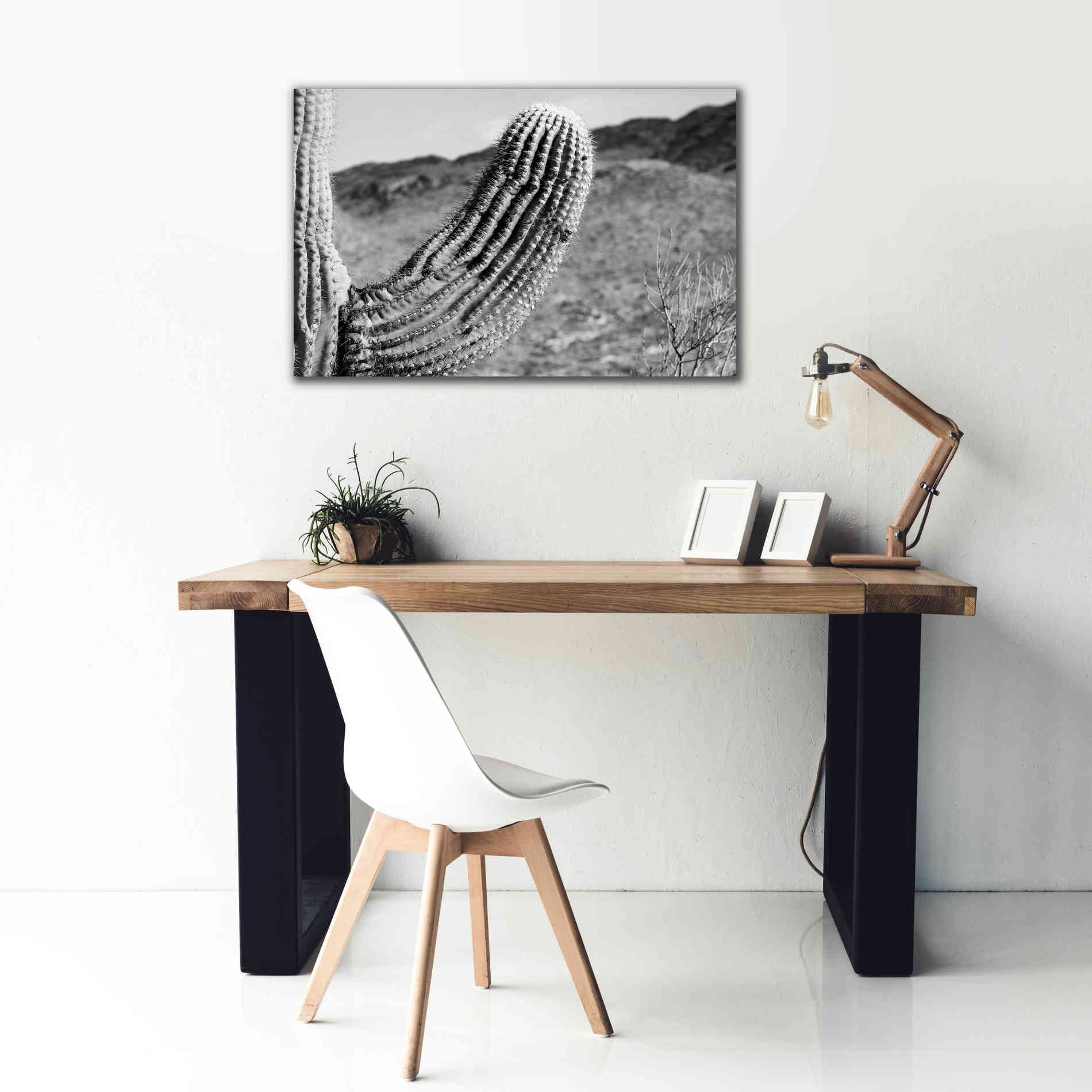 'Saguaro' by Nathan Larson, Canvas Wall Art,40 x 26