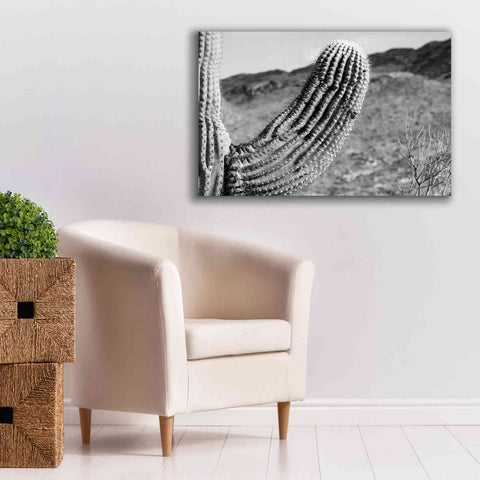 Image of 'Saguaro' by Nathan Larson, Canvas Wall Art,40 x 26