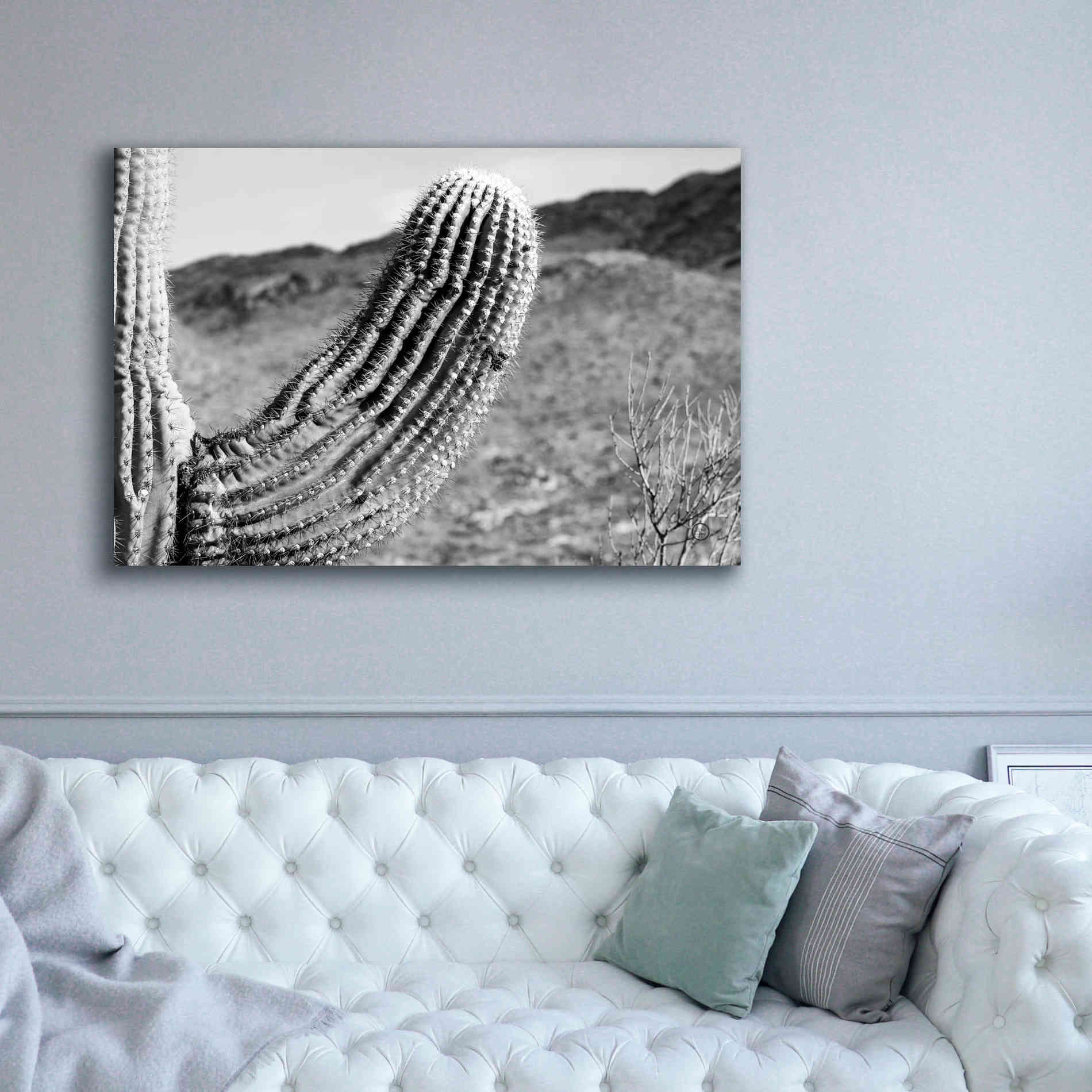 'Saguaro' by Nathan Larson, Canvas Wall Art,60 x 40