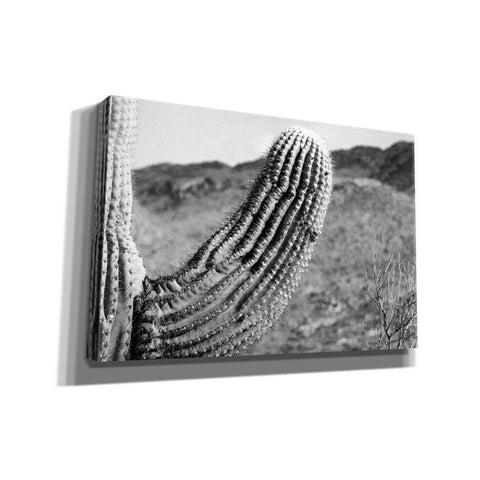 Image of 'Saguaro' by Nathan Larson, Canvas Wall Art