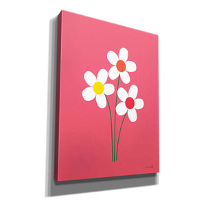 'Daisies I' by Ann Kelle Designs, Canvas Wall Art,12x16x1.1x0,20x24x1.1x0,26x30x1.74x0,40x54x1.74x0
