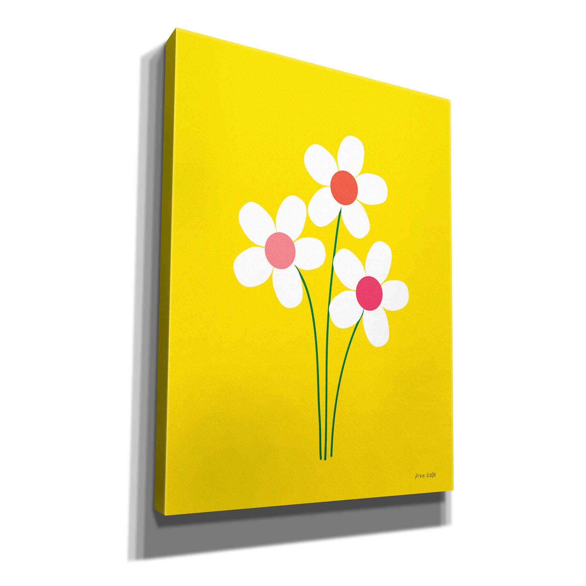 'Daisies II' by Ann Kelle Designs, Canvas Wall Art,12x16x1.1x0,20x24x1.1x0,26x30x1.74x0,40x54x1.74x0