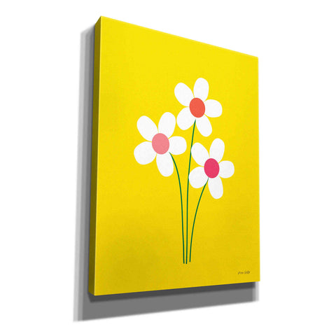 Image of 'Daisies II' by Ann Kelle Designs, Canvas Wall Art,12x16x1.1x0,20x24x1.1x0,26x30x1.74x0,40x54x1.74x0