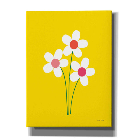 Image of 'Daisies II' by Ann Kelle Designs, Canvas Wall Art,12x16x1.1x0,20x24x1.1x0,26x30x1.74x0,40x54x1.74x0