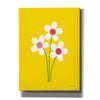 'Daisies II' by Ann Kelle Designs, Canvas Wall Art,12x16x1.1x0,20x24x1.1x0,26x30x1.74x0,40x54x1.74x0
