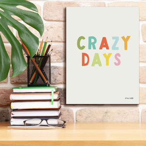 'Crazy Days' by Ann Kelle Designs, Canvas Wall Art,12 x 16