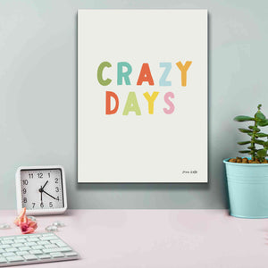 'Crazy Days' by Ann Kelle Designs, Canvas Wall Art,12 x 16