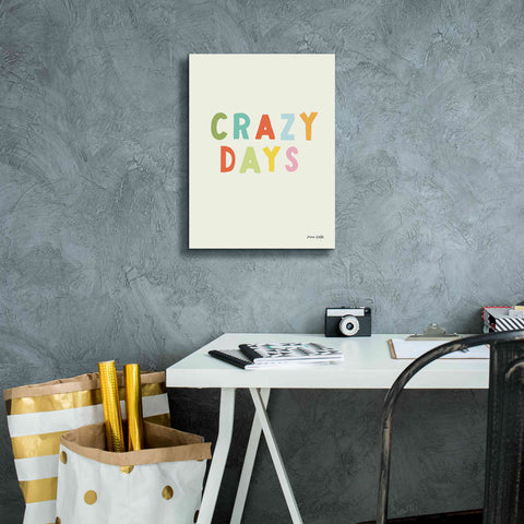 Image of 'Crazy Days' by Ann Kelle Designs, Canvas Wall Art,12 x 16