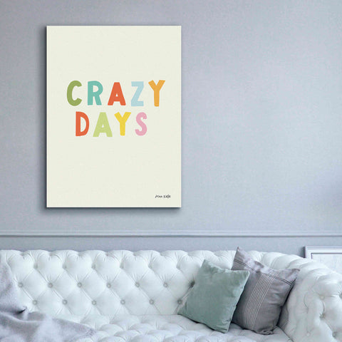 Image of 'Crazy Days' by Ann Kelle Designs, Canvas Wall Art,40 x 54