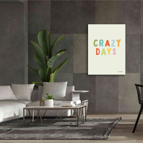 Image of 'Crazy Days' by Ann Kelle Designs, Canvas Wall Art,40 x 54