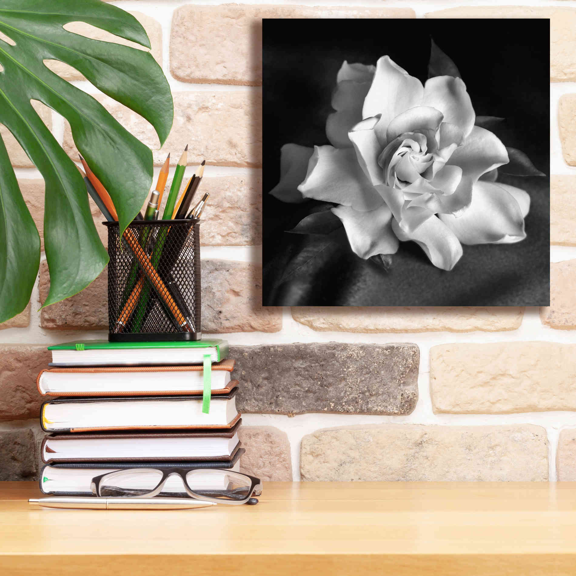 'Gardenia' by Debra Van Swearingen, Canvas Wall Art,12 x 12